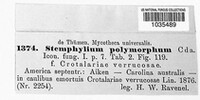 Stemphylium polymorphum image
